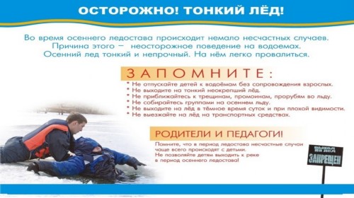 p132_tl2.jpeg